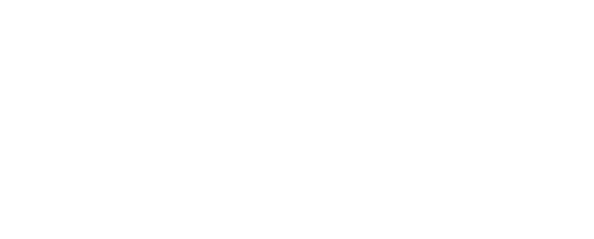 Project 6 Logo White