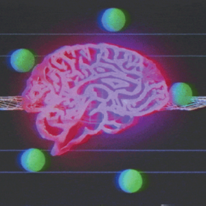 A Quick Intro to Wernicke – Korsakoff Syndrome